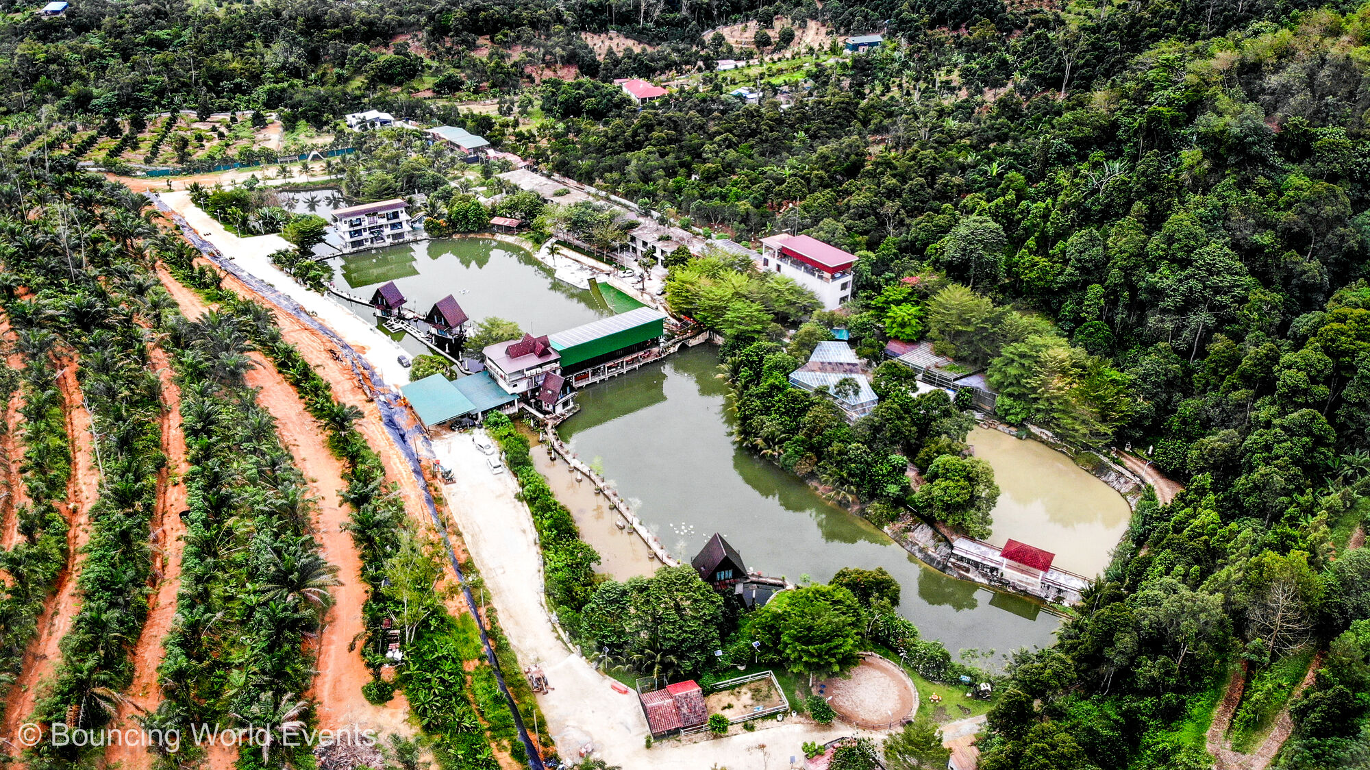 Aerial view of Mantin Forest Art Farmstay